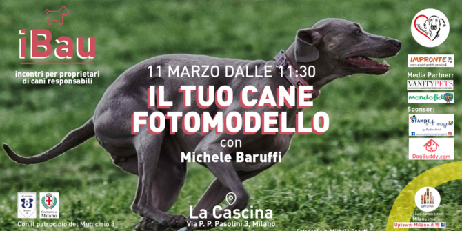 Ad I Bau s’impara a “trasformare” i propri cani in fotomodelli