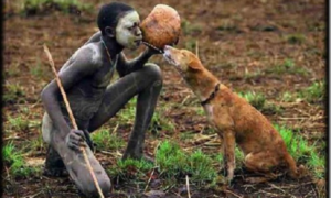 500 627x376 rapporto cane