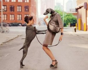 ed556265816011ba76a53e5cf54450cf assurdità