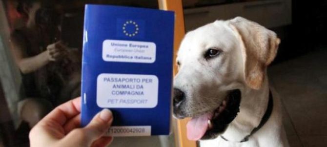 Passaporto del cane: come si ottiene e chi lo rilascia