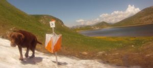 Neve lanterna cane e1527677154106