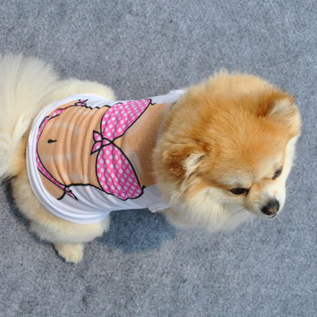 Il tumore mammario nel cane