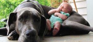 cani e bambini e1527851732253
