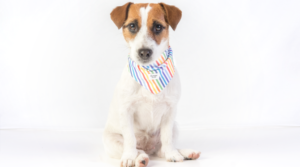 DSCF3450 e1538368404435