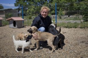 mondifod sara turetta save the dogs and other animals onlus 13