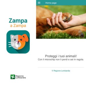 mondofido zamoa a zampa cover