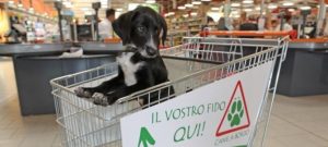 cani al supermercato