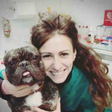 La Pancreatite Nel Cane Mondofido