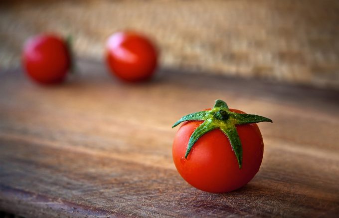 pomodoro cani