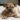 adottare un bulldog